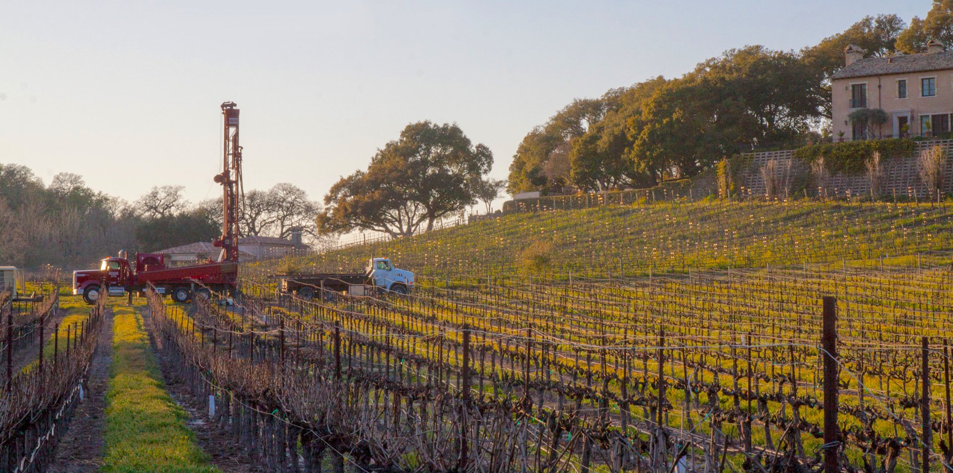 vineyard and rig